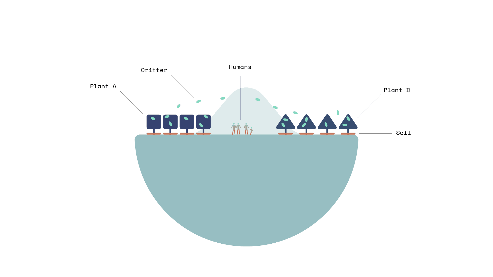 Harmonious Primordial State